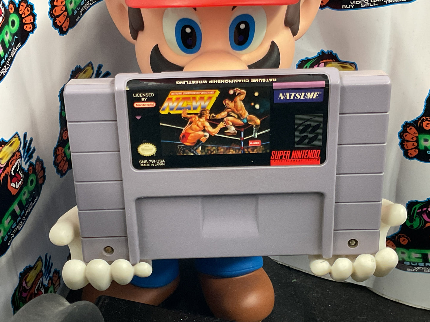 SNES Natsume Championship Wrestling (NCW)