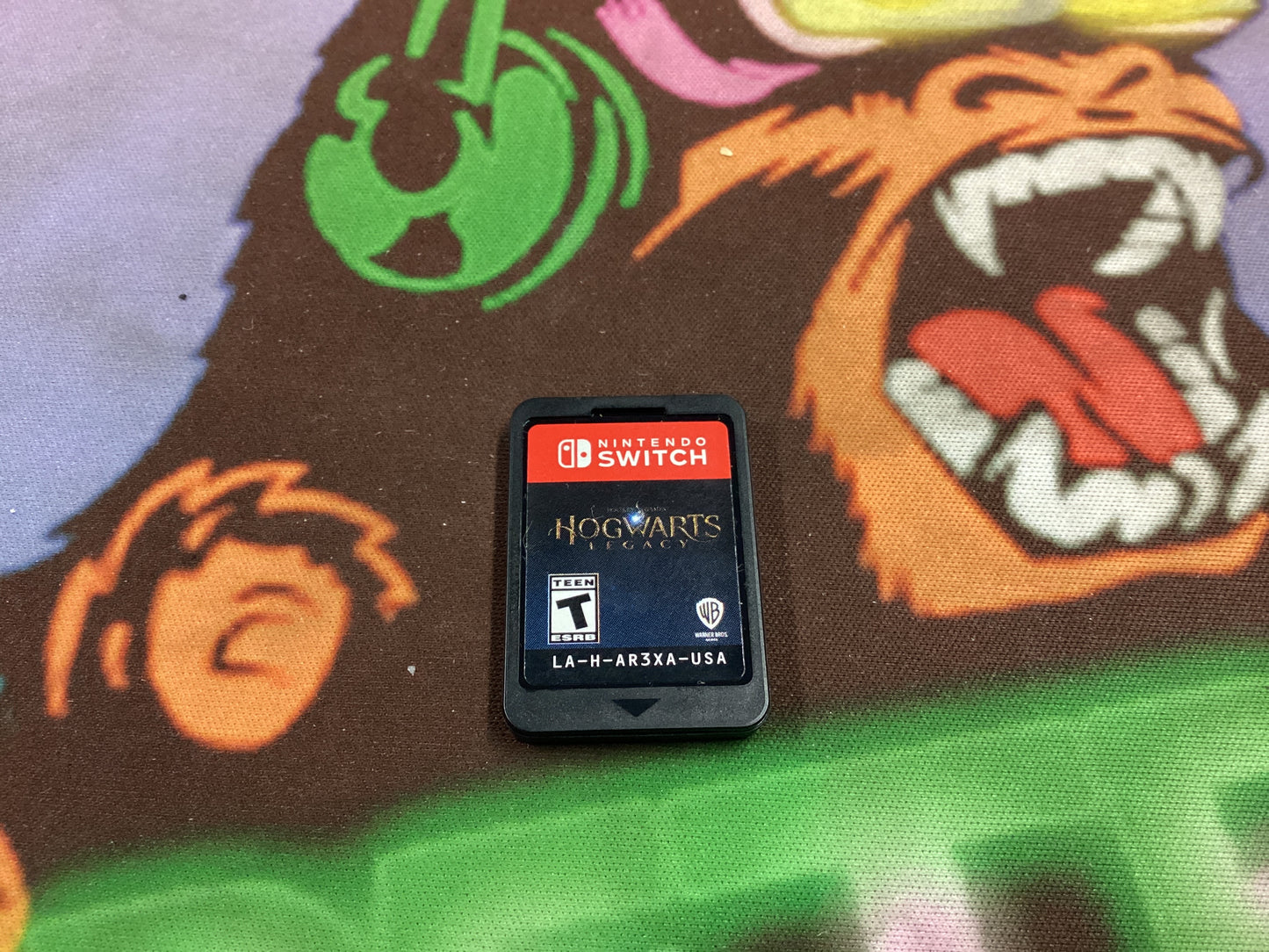 Switch Hogwarts Legacy