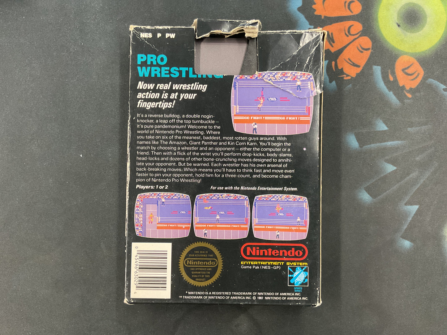 NES Pro Wrestling