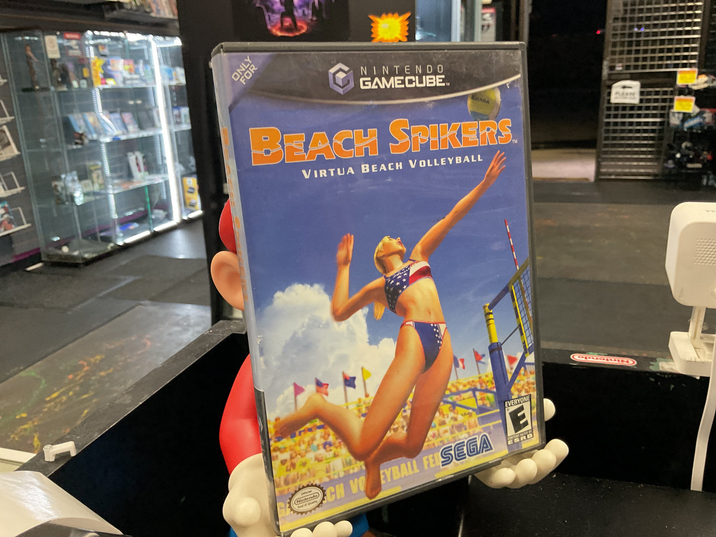 GCN Beach Spikers