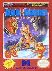 NES Tag Team Wrestling
